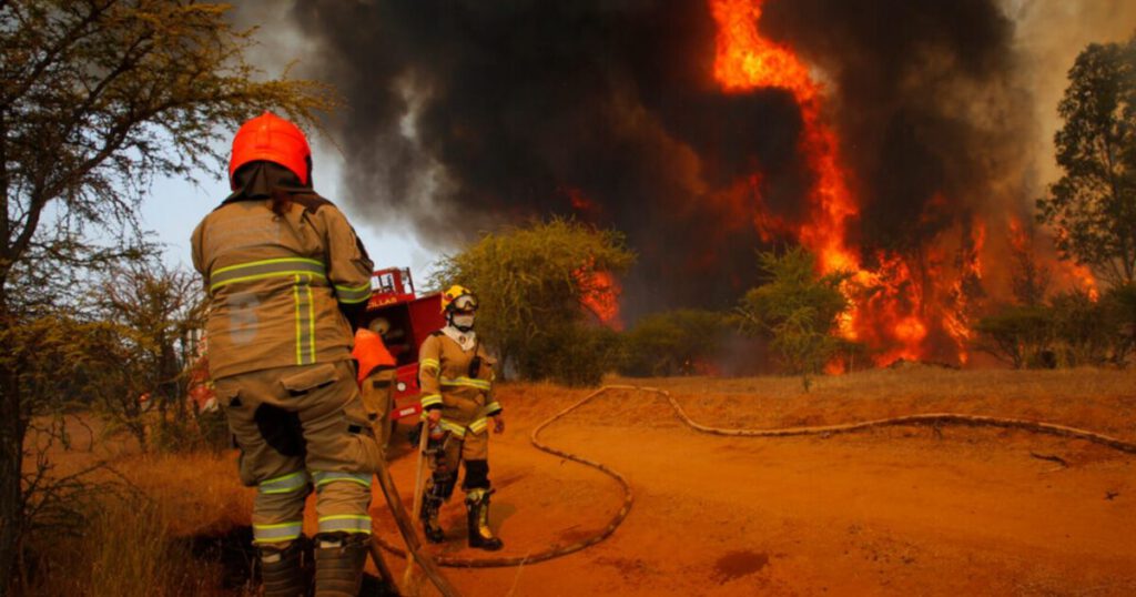 https://sabes.cl/2025/02/10/balance-2025-9-mil-hectareas-quemadas-dejan-los-incendios-forestales-los-ultimos-dias-en-chile/#google_vignette